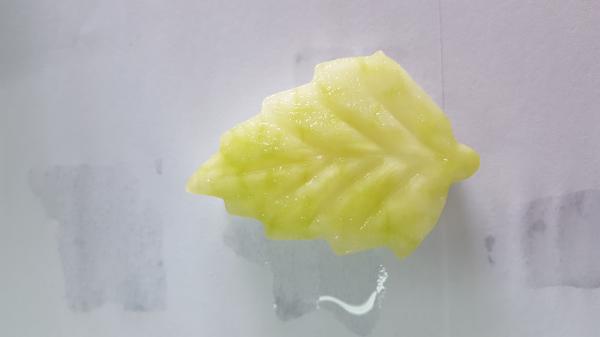 Frozen Winter Melon(White Gourd), leaf-shaped, flower-shaped etc. for food