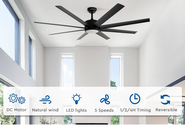 ceiling fan with light