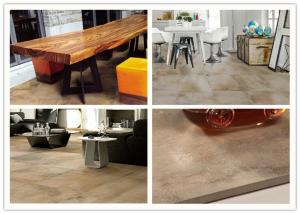 Quality High Gloss Porcelain Cement Look Tile Matte Surface Treatments Acid Resistant wholesale