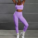 Women Seamless Yoga Set 2 Piece Workout Sport Bra With High Waist Shorts
