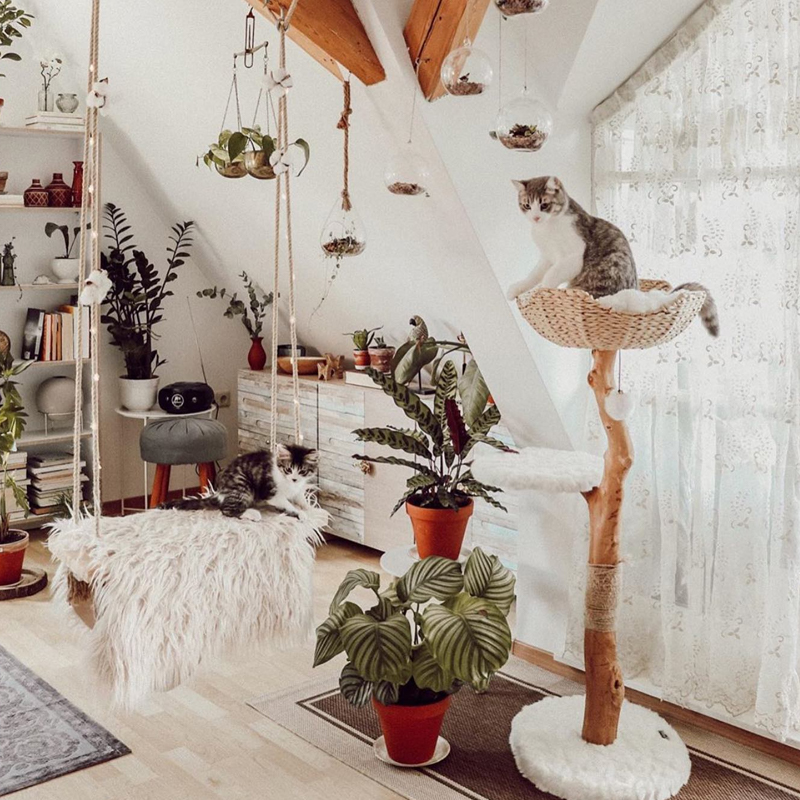 Natural Wood Cat Tower Multi Level Modern Design for Easy Climb by Small and Old Cats