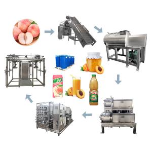 Quality SS 304 380V 220V Fruit Juice 5 T/Day Peach Processing Plant wholesale
