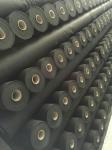 Horticulture 50gsm Biodegradable Black Landscape Fabric