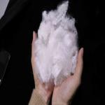 Virgin Hollow Conjugated Fiber 20D Hollow Hard Cotton Flame Retardant PSF