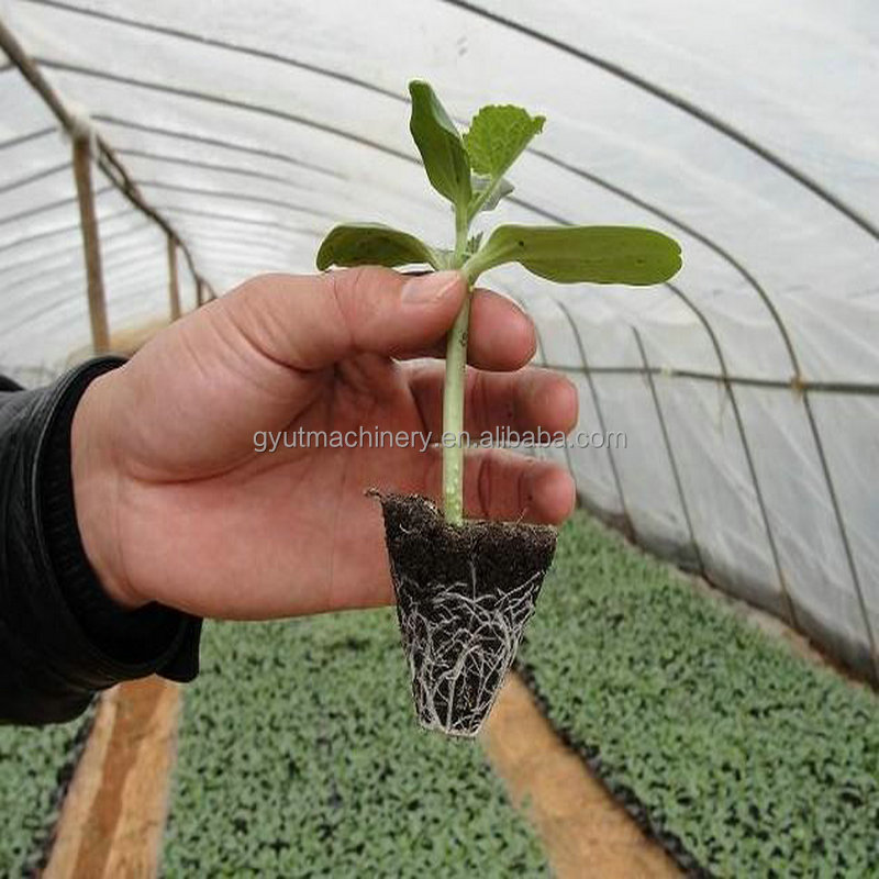 11 Rows Full Automatic Vegetable Tray Nursery Seedling Seeder for Quick Seed Planting