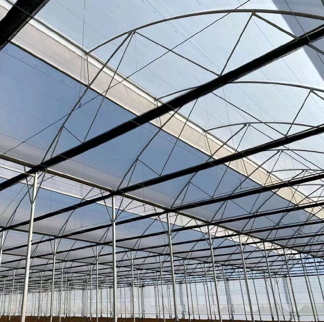 Customization Snow Vibrator Greenhouse for Tomato Planting