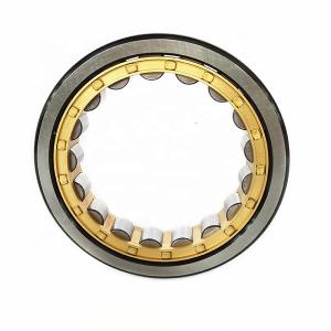 Quality NJ 203-NJ 216 Cylindrical Roller Bearing Single / Double Row wholesale