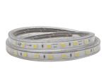 High Brightness IP65 Lighting Lamp , AC220V Led High Voltage Strips
