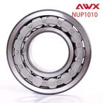 Double Row Cylindrical Roller Bearings P0 P5 NUP1000 NUP200 NUP300 NU NJ NUP N