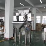 SS304 2 Head Linear Weigher