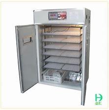 Quality Aluminum Sections Large Capacity Auto Turning Poultry Egg Incubator wholesale