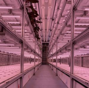 Quality Hydroponic Smart Farming Container Greenhouse for Agriculture 40ft Container wholesale