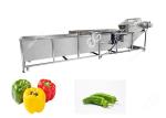 Chili Pepper Bubble Washing Machine Hot Sale Vegetables Industrial