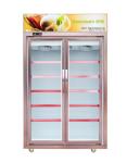 Fan Cooling Convenience Store Vertical Glass Door Freezer