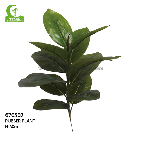 artificial rubber plant