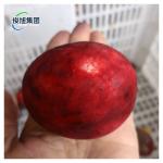 Industrial Four Station Onion Peeling Machine for High Capacity Production by