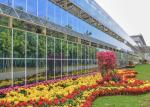 Modern Design Agriculture Plant Greenhouse Strong Wind Pressure Resistance