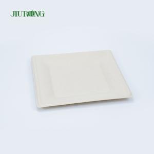 Quality Matt Lamination Sugarcane Food Container White Paper Dinner Plates Jiurong wholesale