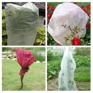 Quality Garden Plant Protection Bag Polypropylene Non Woven Fabric Breathable wholesale