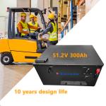 High- 51.2v 300ah Lifepo4 Battery For Electric Forklift 15kwh Capacity OEM/ODM