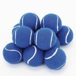 2.5inch tennis ball toy for pet playing