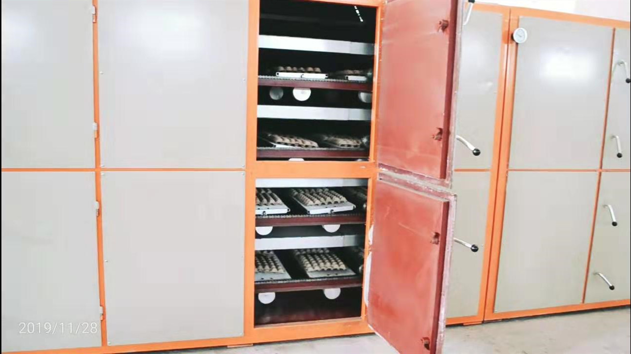 350pcs/Hr Automatic Small Egg Tray Making Machine With Egg Tray Dryer 1 Year Warranty