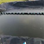 HDPE Geomembrane for Fish Pond Liner Anti Seepage Protection Length 50-200m/roll