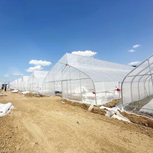 Quality Tropical Climate Sawtooth Poly Tunnel Plastic Film Agricultural Greenhouse wholesale