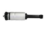 Discovery 3 L405 Land Rover Air Suspension Assembly RNB501580