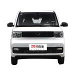 Small car home factory direct sales Wuling Hongguang MINIEV2022 free model