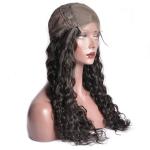 Water Wave 5x5 Lace Closure Wig transparent Lace Frontal Human Hair Wigs