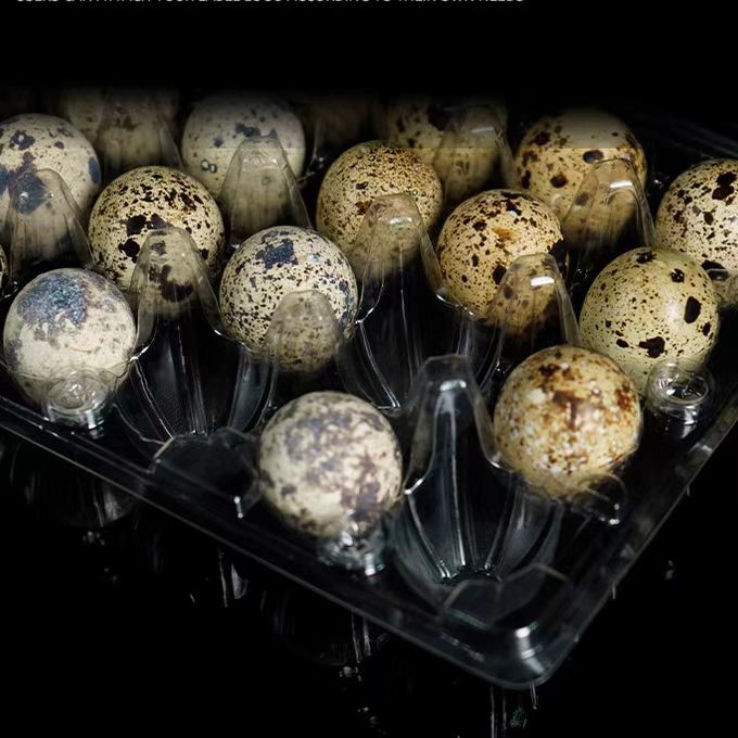 Customized 20 Holes Plastic Egg Packaging Disposable Quail Egg Containers