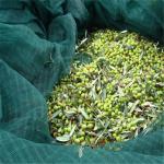 Plastic Green Olive Harvest Nets Supplier CY-050