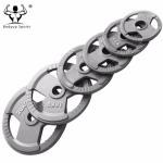 Gray Painted Cast Iron Fitness Equipment Barbells Hammertone Finish