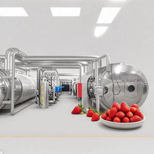 Quality Industrial Lyophilizer 500kg Continuous Freeze Drying System for Herbs wholesale