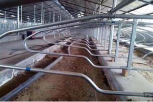 Quality Customized Q235 Steel Agriculture Farm Cow Free Stall wholesale