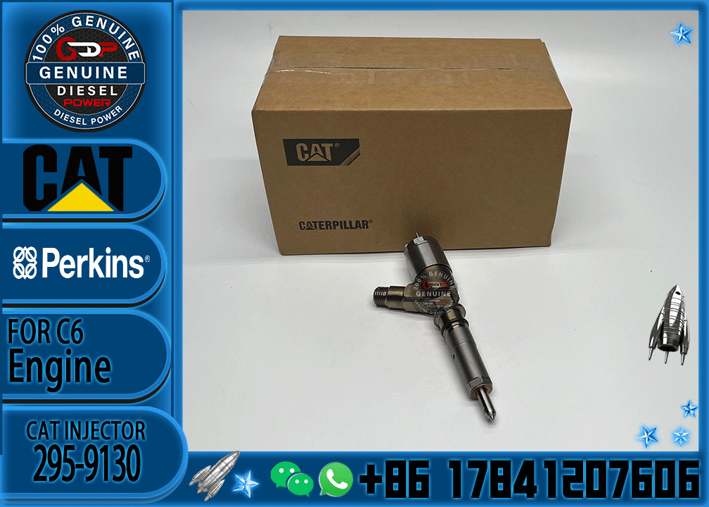Common Rail C6 Diesel Engine Fuel Injector 317-2300 326-4700 295-9130 10R7675