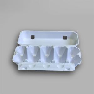 Quality Customized Molded Pulp Packaging Recyclable Food Packing Box Biodegradable wholesale