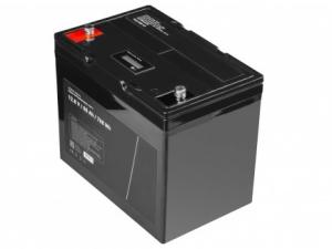 Quality Large Lithium Iron Phosphate Rechargeable Battery 24V 200AH wholesale