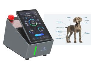 Quality 980nm Veterinary Laser Therapy Machine Class IV Laser Rehabilitation Therapy wholesale