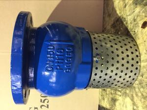 Quality ANSI foot valve flanged ends wholesale