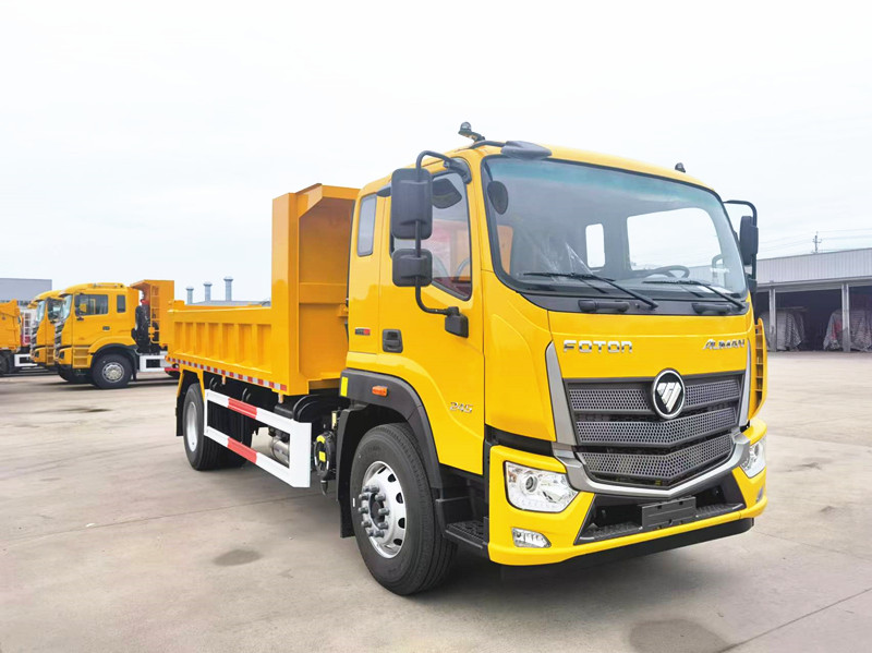 Foton 10tons dump truck light cargo truck small tipper truck left and right hand drive with good price