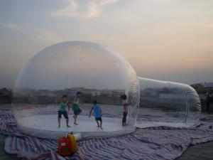 Quality Clear Inflatable Snow Ball / Bubble Tent for Sale wholesale