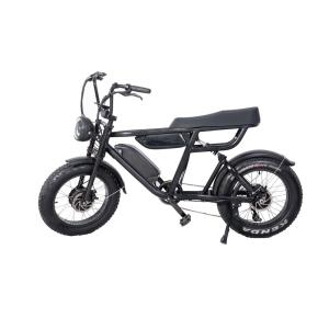 Quality Dual Battery Dual Motor Electric Mountain Bike 7 Speed E Bike 20*4&quot; Aluminum Alloy Frame wholesale