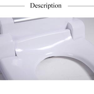 Quality ABS Resin Bidet Self Cleaning Toilet Seat Automatic Dry Warm Water Washing wholesale