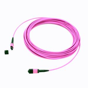 Quality 24F 40G Male OM4 MPO cable wholesale