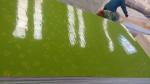 polyester plywood,decor plywood,fancy plywood