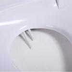 Heated Smart Bidet Toilet Seat Open Front / Intelligent Toilet Seat Cover