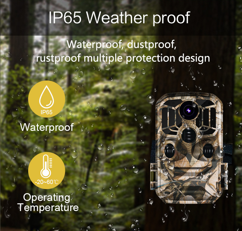 Outdoor Wirless Thermal Security Night Vision Hunting Camera 24MP 4k Wifi Trail Camera