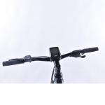 Allloy Off Road Folding Electric Bike25KMH Max Speed Multifeature